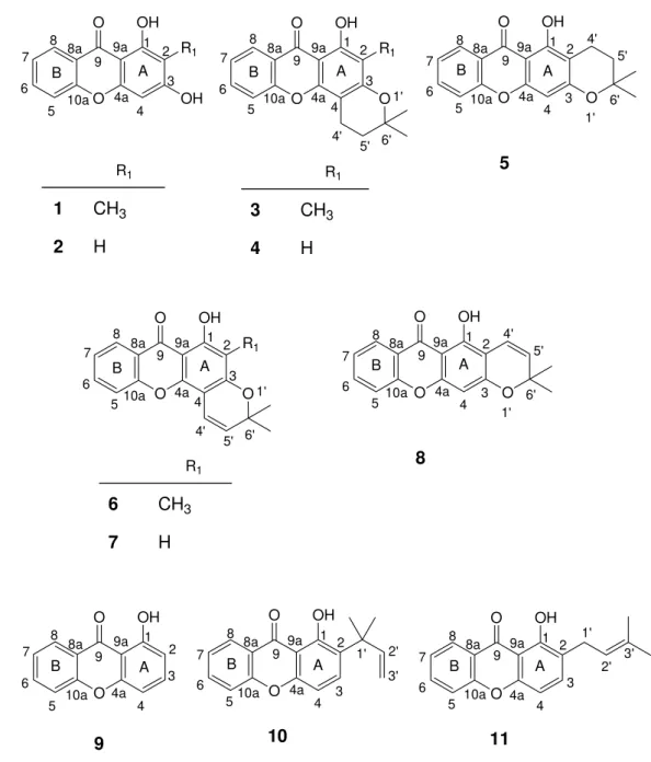 Figure 1. Structures of the xanthone building blocks 1-5, 9 and prenylated derivatives 6-8,  10 and 11 (the numbering used refers to the NMR assignments)