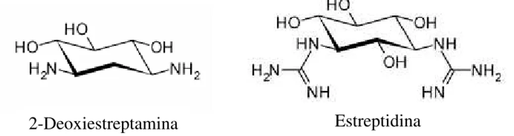 Figura 1.1 – Estrutura dos aminociclitóis presentes nos aminoglicosídeos (adaptado de  [6])