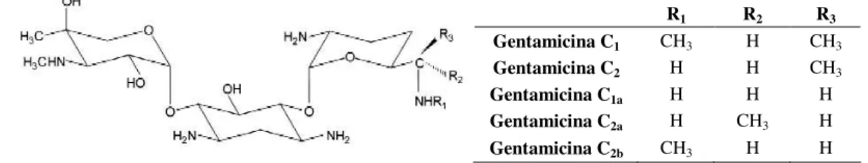 Figura 1.3 – Estrutura química dos principais componentes da gentamicina. 