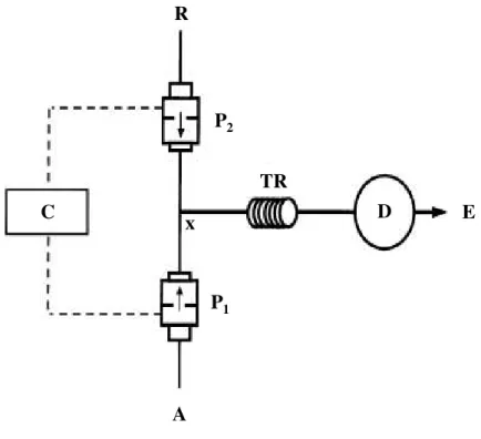 Figura 1.7 –  Esquema representativo de um sistema de MPFS. P 1  e P 2  – Micro-bombas  solenóides;  A  –  Amostra;  R  –  Reagente;  C  –  Interface  de  controlo;  X  –  Ponto  de  confluência; TR – Tubo reactor; D – Detector; E – Esgoto (adaptado de [63