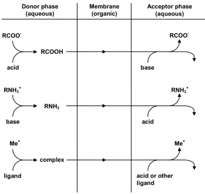 Fig. 1.2. Schematic representation of the principle of the extraction of carboxylic  acids, amines and metal ions using the supported liquid membrane (SLM) extraction  technique (based on [69])