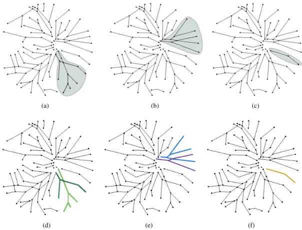 Figure 4.7: Examples of subgraph labeling where each color represent a distinct label; (a) Paired subgraph 1; (b) Paired subgraph 2; (c) Unpaired subgraph 3; (e), (e) and (f) Results of link labeling in subgraphs (a), (b) and (c).