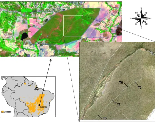 Figura 2.2. Localização geográfica da Estação Ecológica de Águas Emendadas  (EEAE) no mapa do Brasil