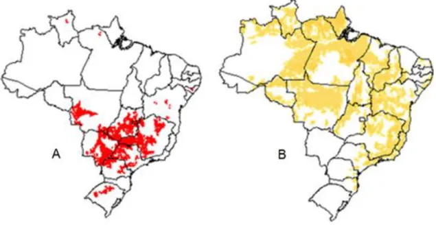 Figura  2.  Distribuição  de  Latossolos  no  território  nacional:  Latossolos  Vermelhos  (A)  e  Amarelos/Vermelho-Amarelos (B) [adaptada das ref