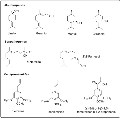 Figura  4.  Exemplos  de  terpenóides  (mono  e  sesquiterpenos)  e  fenilpropanóides  encontrados  em  óleos essenciais