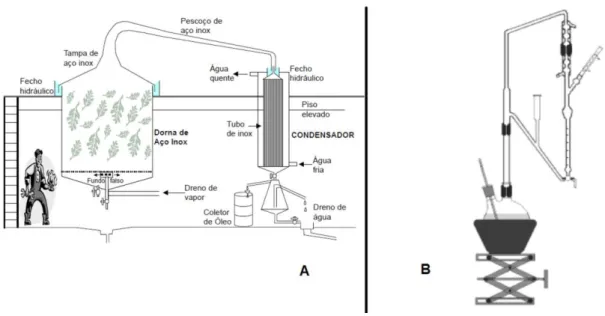 Figura  5.  Aparelhagens  empregadas  para  extração  de  óleos  essenciais  por  arraste  a  vapor  (A)  e  hidrodestilação (B) [adaptadas das ref