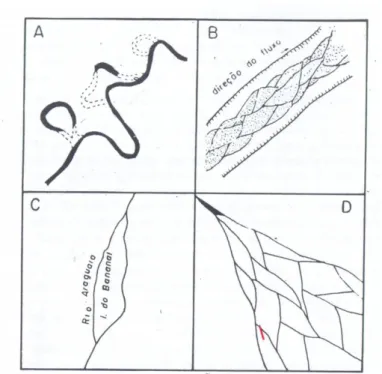 Figure 2.3.1 - Example of river channels: A) Braided, B) Anastomosed,  C) Branched, D) Reticulated (Christofoletti, 1981)
