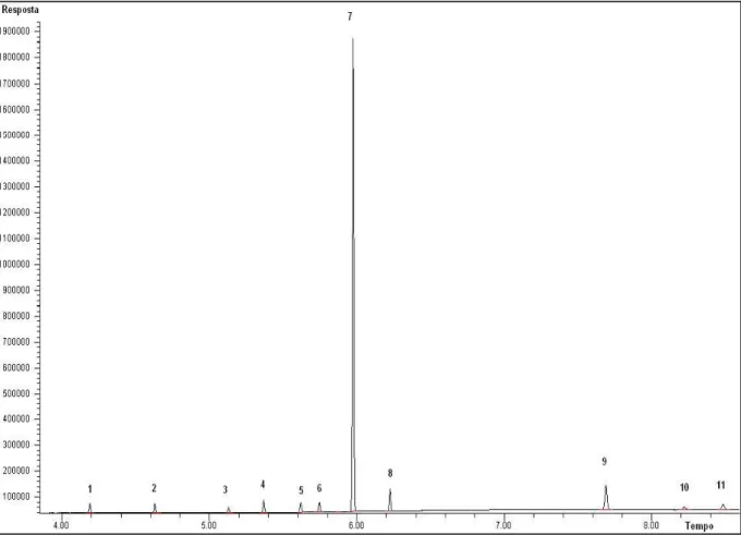 Figura 9  –  Cromatograma de uma amostra com todos os adulterantes contendo teor de 1% 