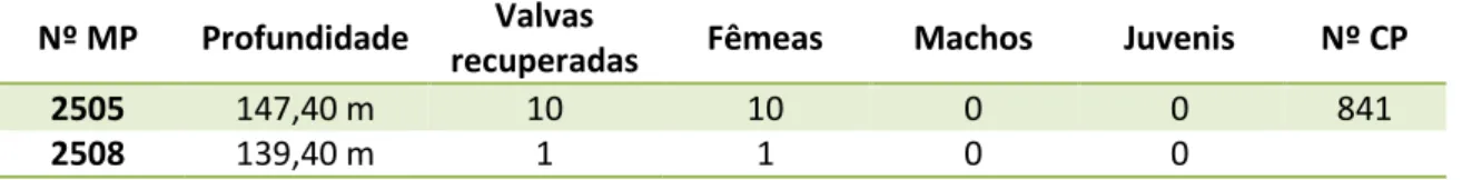 Tabela  10  – Distribuição  quantitativa  das  valvas  de  Alicenula  olivencae  recuperadas  na  perfuração 1-AS-33-AM a partir dos seus níveis de ocorrência