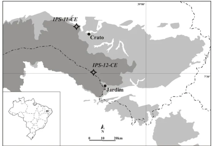 Figura 8. Localização das perfurações IPS-11-CE e IPS-12-CE, bacia do Araripe, Brasil
