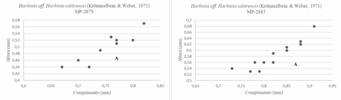 Figura 12.  Gráficos de dispersões das medidas de comprimento e altura de  Harbinia aff