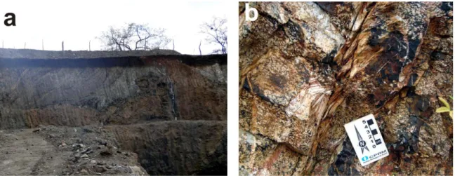Figure  7  –   Late  magmatic  fluids  from  granitic  intrusion-related  in  FMUC:  a)  Metasomatic  alterations  caused  by  discharges  of  magmatic  fluids  related  to  pegmatoid/leucogranitoid  intrusions