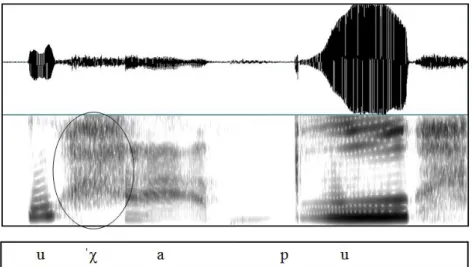 Figura 13: forma da  onda e espectrograma contendo o rótico realizado como [χ] no vocábulo ‘o rabo’,  evocada por BSB_FEM_125 (129)