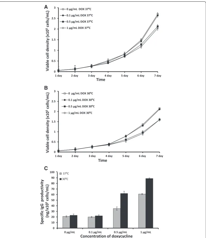 Figure 2 Viable cell density of IgG-T-Rex-XBP-1(s) cells cultured at 37°C (A) or 30°C (B) and their specific IgG productivity at 37°C and 30°C (C) under induction with 0 μg/mL (control), 0.1 μg/mL, 0.5 μg/mL and 1 μg/mL DOX