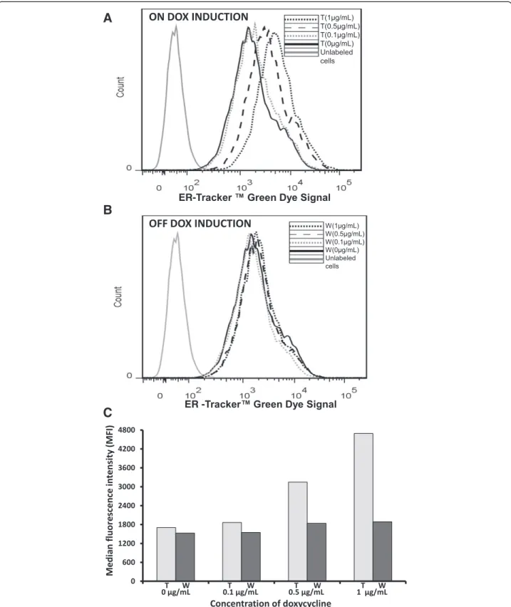 Figure 4 FACS analysis. The samples were run through the flow cytometer until 10.000 events were collected using no gate