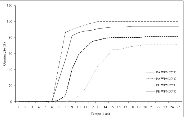 Figura 7: Germinação de sementes de Piper hispidinervum e Piper aduncum sob duas  condições de temperatura e meio de cultura WPM