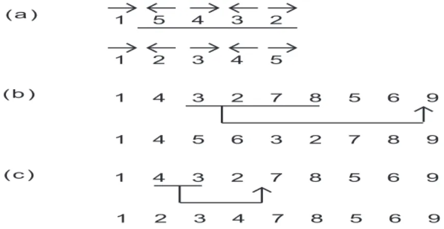 Figura 1.7: Exemplos de eventos de rearranjo (a) Revers˜ao - inverte a ordem e a orienta¸c˜ao dos blocos de genes do cromossomo indicados pelo tra¸co