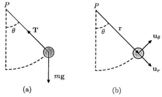 Figura 6.4: Pêndulo Simples