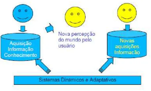 Figura 8: Sistema dinâmico e adaptativo ao usuário da informação  Fonte: Aguiar; Matta; Paula (2005)