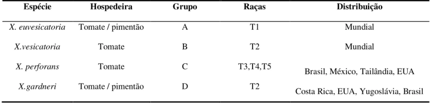 Tabela  1  Distribuição  das  raças  e  espécies  de  Xanthomonas  associadas  à  mancha  bacteriana do tomateiro