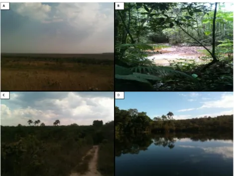 FIGURA 5- Matas de Galeria amostradas em Brasília. A: Parque Nacional de  Brasília. B: Fazenda água Limpa