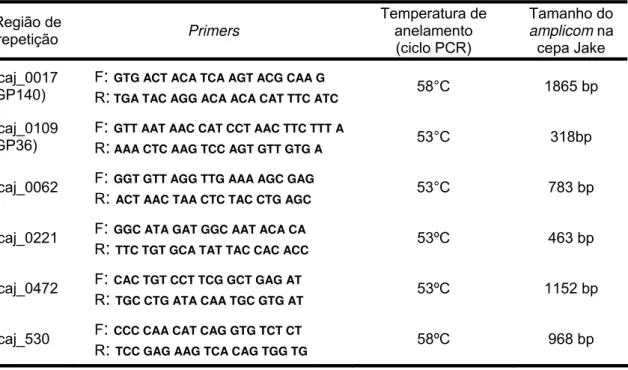 Tabela 1 – Genes selecionados para análise de variabilidade, seqüências do  primers  (forward e reverse), temperatura de anelamento e tamanho da região  amplificada na cepa Jake de E