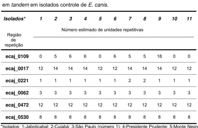 Tabela 2.  Número de unidades repetitivas das regiões genômicas de repetição          em tandem em isolados controle de E