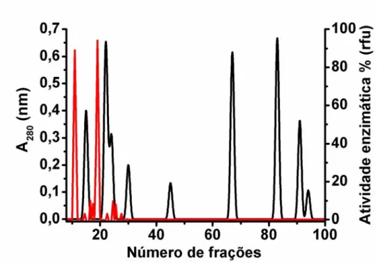Figura 11. Cromatograma das frações da enzima eluída em tampão Tris-HCl 25 mM NaCl 200 mM em  coluna Superdex G-200