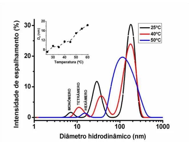 Figura 14. Estados oligoméricos da LAPr-Li (14 µM) em tampão Tris-HCl 25 mM NaCl 200 mM pH 8,5  em diferentes temperaturas por ELD