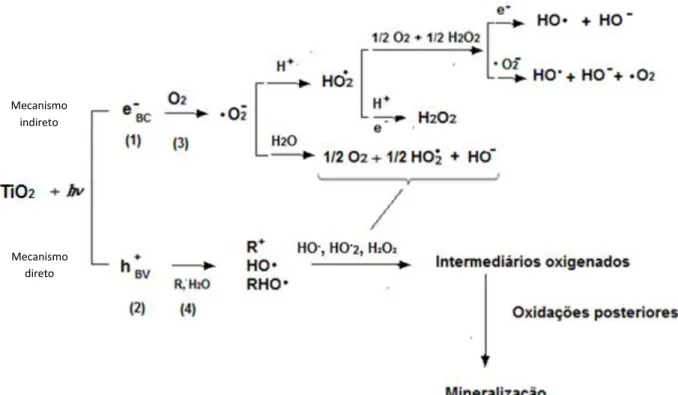 Figura  1.  Representação  esquemática  das  reações  envolvidas  nos  processos  de  fotocatálise  heterogênea  –   ativação  do  TiO 2 