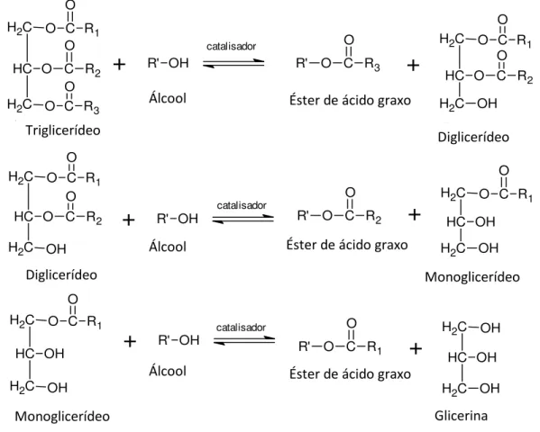 Figura  6. Esquema  da  reação  de  transesterificação  do  biodiesel.  Fonte:  adaptado  de  Suarez et al