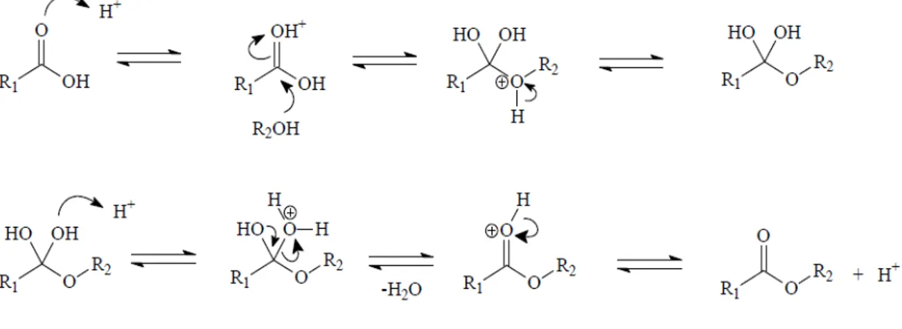 Figura 3- Esterificação de ácido graxo catalisada por ácido de Brönsted 11 .