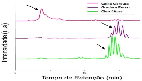 Figura 6- Cromatograma dos OGR .    