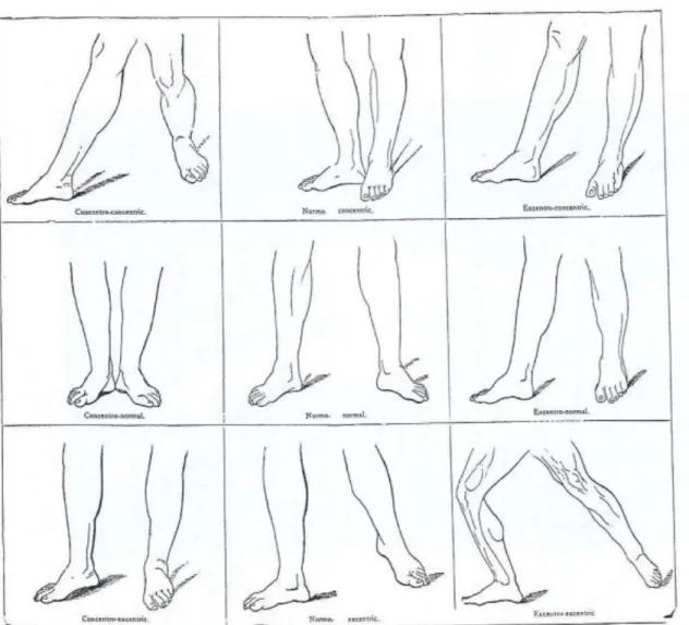 Figura 36: Atitudes das Pernas. 