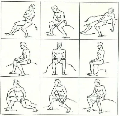 Figura 39: Atitudes envolvendo o tronco, a cabeça, os braços e as pernas em posições sentadas