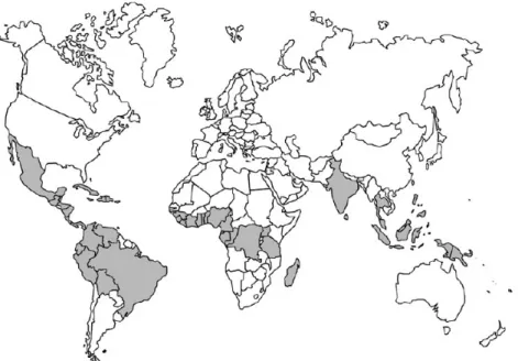 Figura 1 - Países produtores de cacau. 