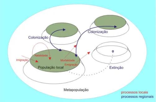 Figura 10. Processos básicos envolvidos na dinâmica de metapopulações. 