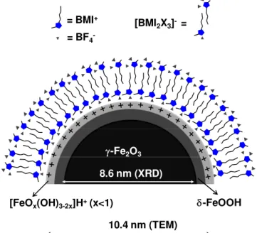 Figura 4.5 Representação esquemática da nanopartícula de maguemita e do agregado  supramolecular [(BMI) 2 (BF 4 ) 3 ] -  , representado por X.B.X.B.X, onde  X = BF 4