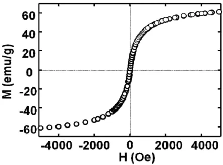 Figura 4.8 Curva M vs H da amostra de maguemita à 300 K. 
