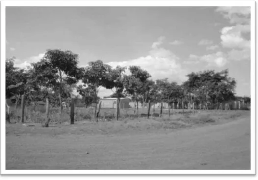 Figura 4 – Marajó-GO 
