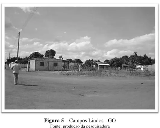 Figura 5 – Campos Lindos - GO 