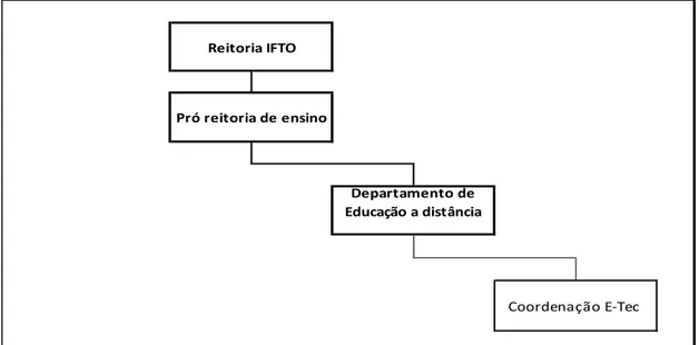 Figura 8: Modelo de organização da EaD /IFTO 2013  Fonte: desenvolvido pela autora 