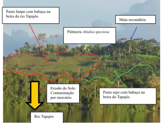 Figura 1. Problemáticas de saúde relacionadas ao uso da terra, objetos de estudo do Projeto PLUPH.
