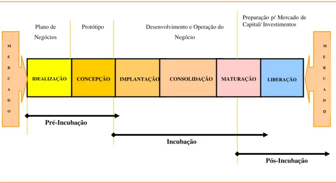 Figura 3: Sistema de Incubação do CDT/UnB 
