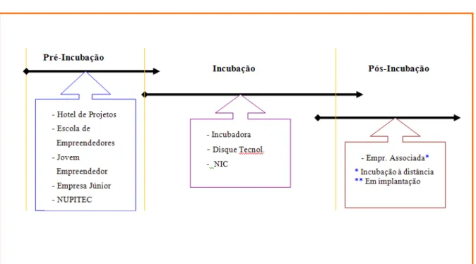 Figura 4: Fases de incubação e programas da Incubadora-CDT 