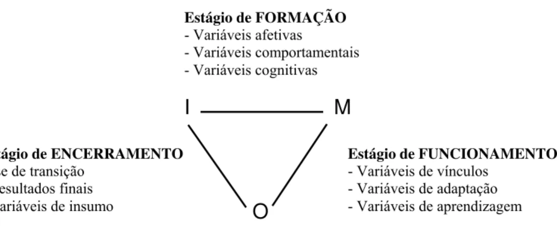 Figura 6 – Representação da estrutura IMOI (input-mediator-output-input). 