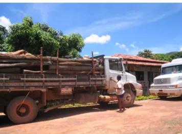 Figura 6. Caminhão de madeira retirada ilegalmente na região do Vão do Paranã (Vila do Forte, fevereiro  de 2006).