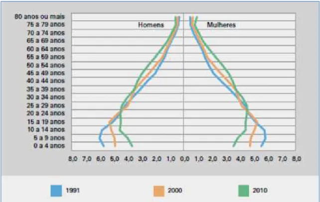 Gráfico 2: Composição da população residente total, por sexo e grupo de idade  –  Brasil, 1991/2010