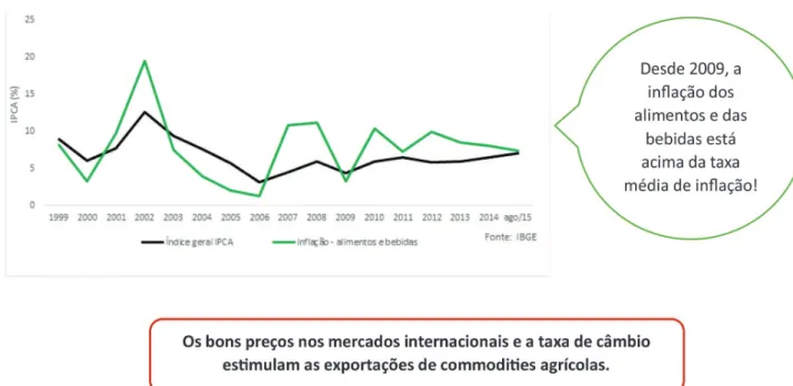 Gráfico 12. Taxa de inflação anual (% ao ano)