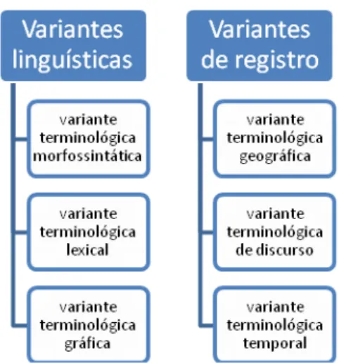 Figura 8 - Variantes terminológicas 